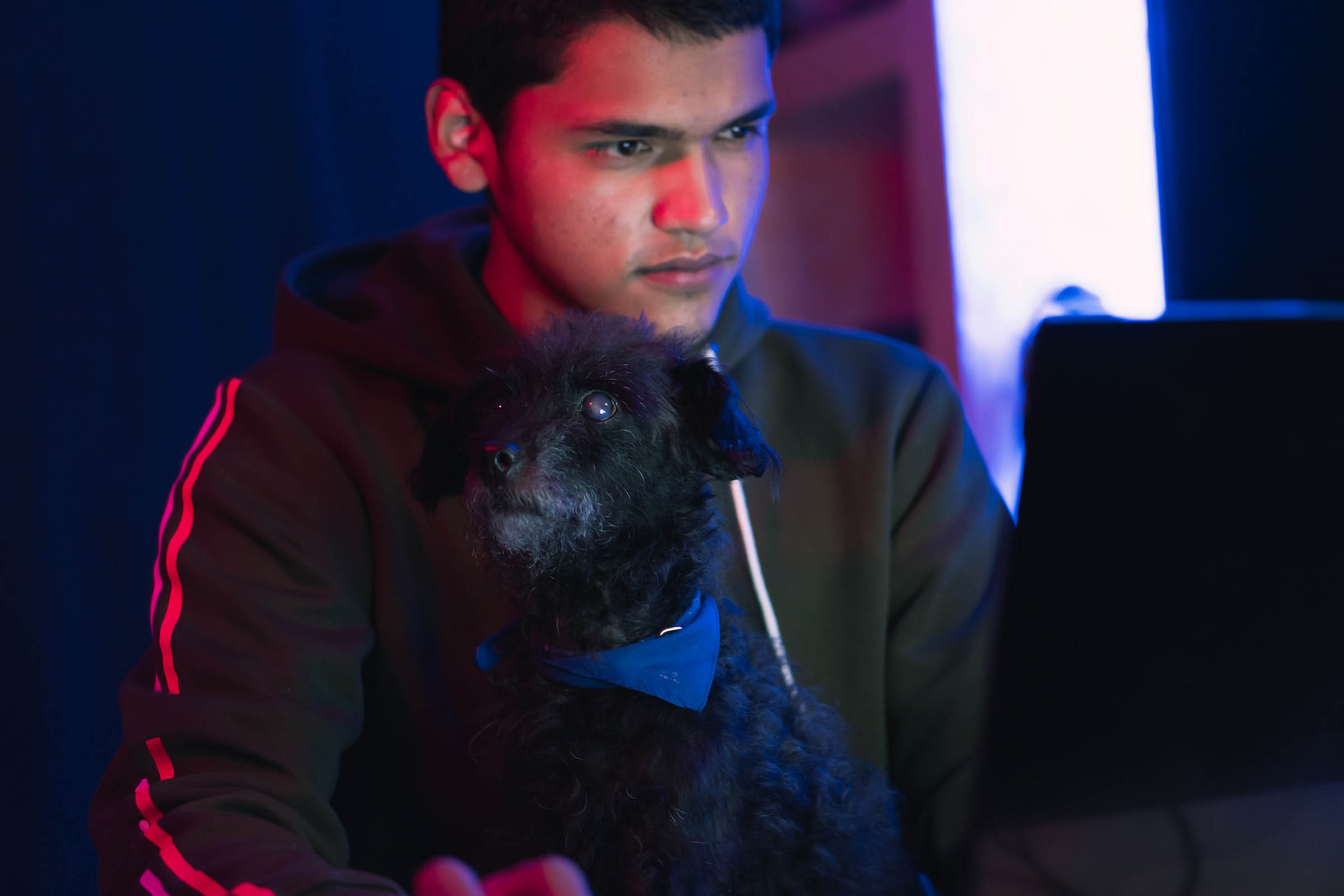 Person that works on Game Hub with a dog in his lap in front of a computer